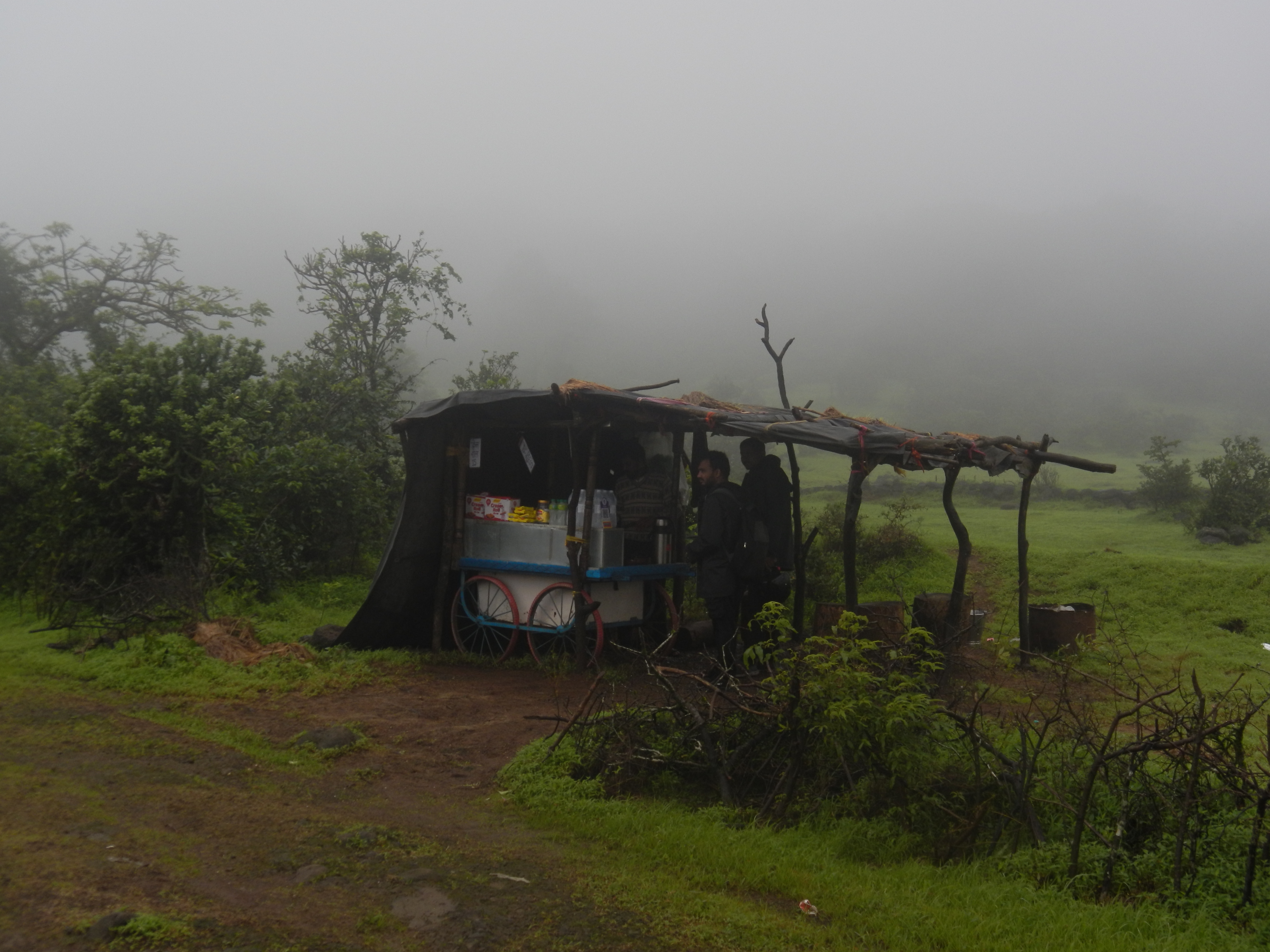 Aadrai. The forest trail